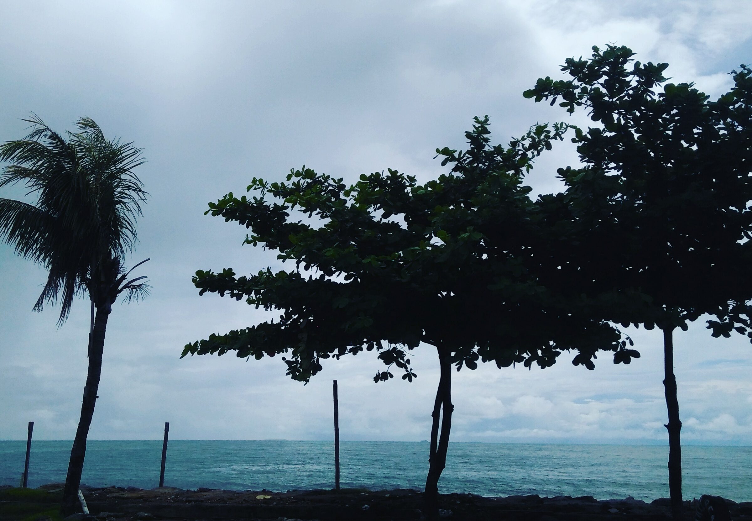 cuaca-sumbar-tiga-hari-ke-depan,-hujan-disertai-petir-ancam-sejumlah-wilayah