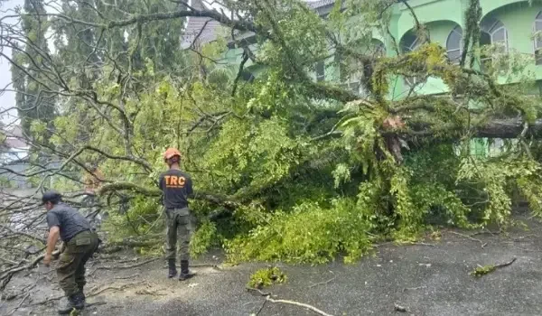 hujan-disertai-angin-kencang,-sejumlah-pohon-tumbang-di-kota-padang