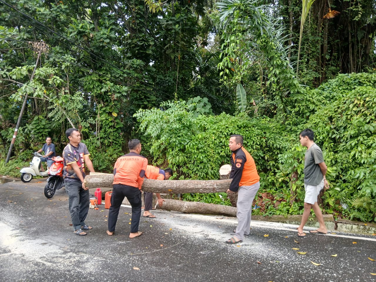 hujan-deras-picu-bencana-di-pesisir-selatan,-bpbd-imbau-warga-tetap-waspada