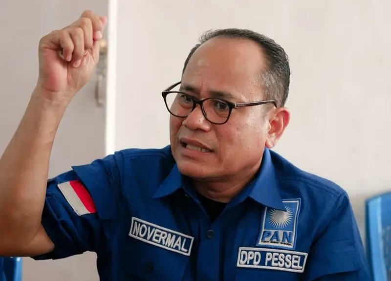 novermal:-meski-dilarang-klhk,-pembalakan-liar-masih-merajalela-di-hulu-batang-bayang