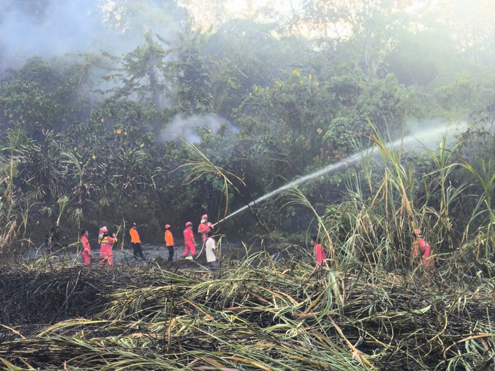 bpbd-sumbar-catat-luasan-karhutla-capai-1.000-hektar