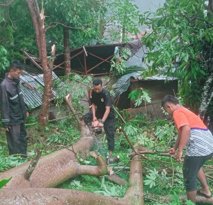 hujan-lebat-disertai-angin-kencang,-pohon-tumbang-timpa-rumah-di-pesisir-selatan