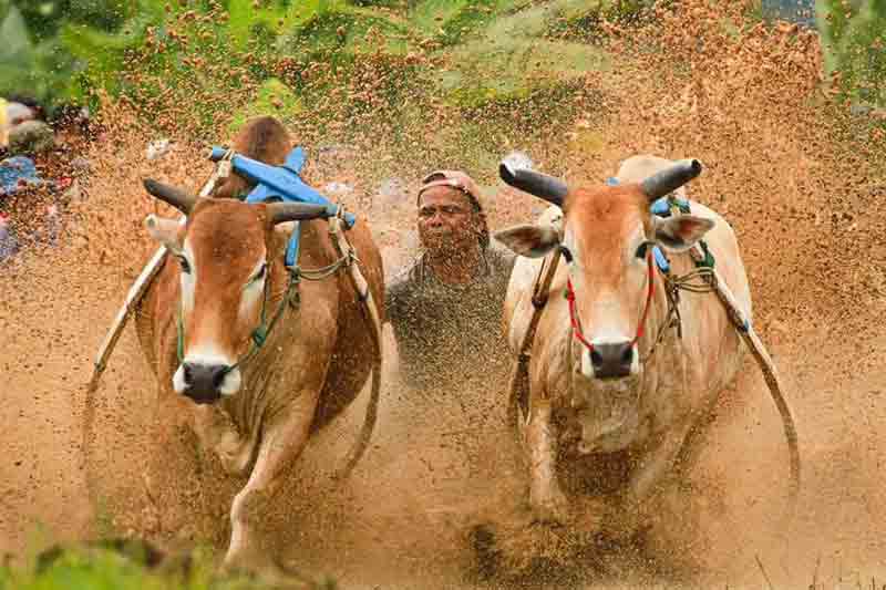 tradisi-unik-di-sumbar-yang-mencerminkan-kearifan-lokal 