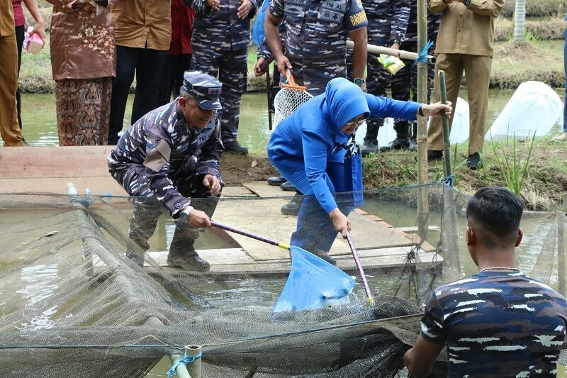 kodaeral-ii-padang-dukung-program-ketahanan-pangan-di-kota-pariaman