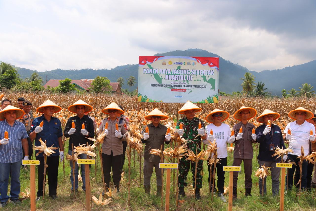 polres-pesisir-selatan-gelar-panen-raya-jagung-serentak,-dorong-swasembada-pangan-di-daerah