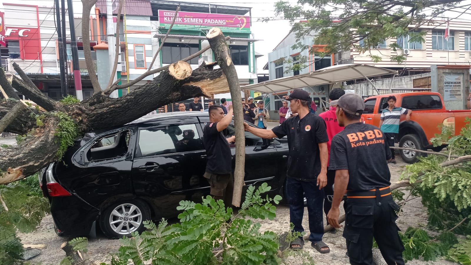 pohon-tumbang-timpa-mobil-dan-hambat-akses-jalan