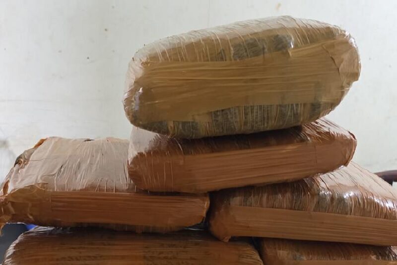 petugas-bim-gagalkan-pengiriman-paket-7-kg-diduga-ganja-ke-jakarta