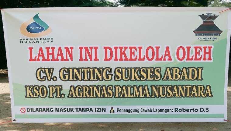 diduga-panen-paksa,-puluhan-orang-serbu-kebun-sawit-warga-di-rokan-hulu