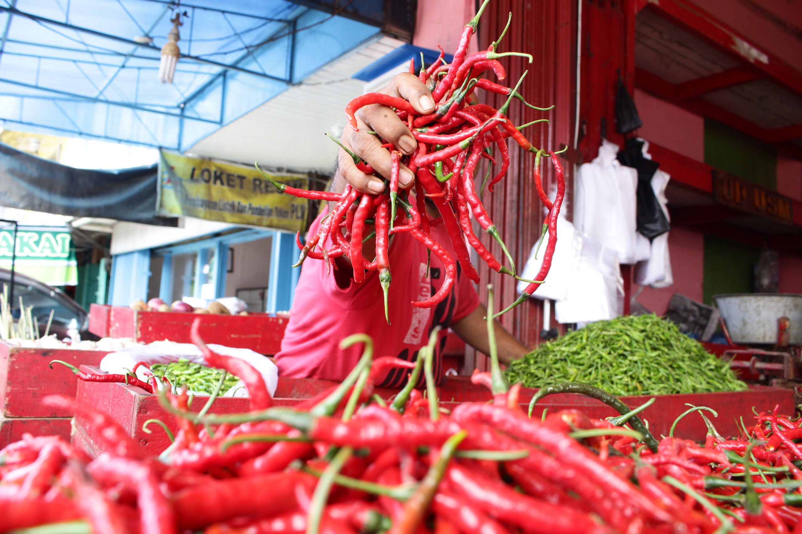 inflasi-sumbar-4,52-persen,-cabai-merah-penyumbang-terbesar