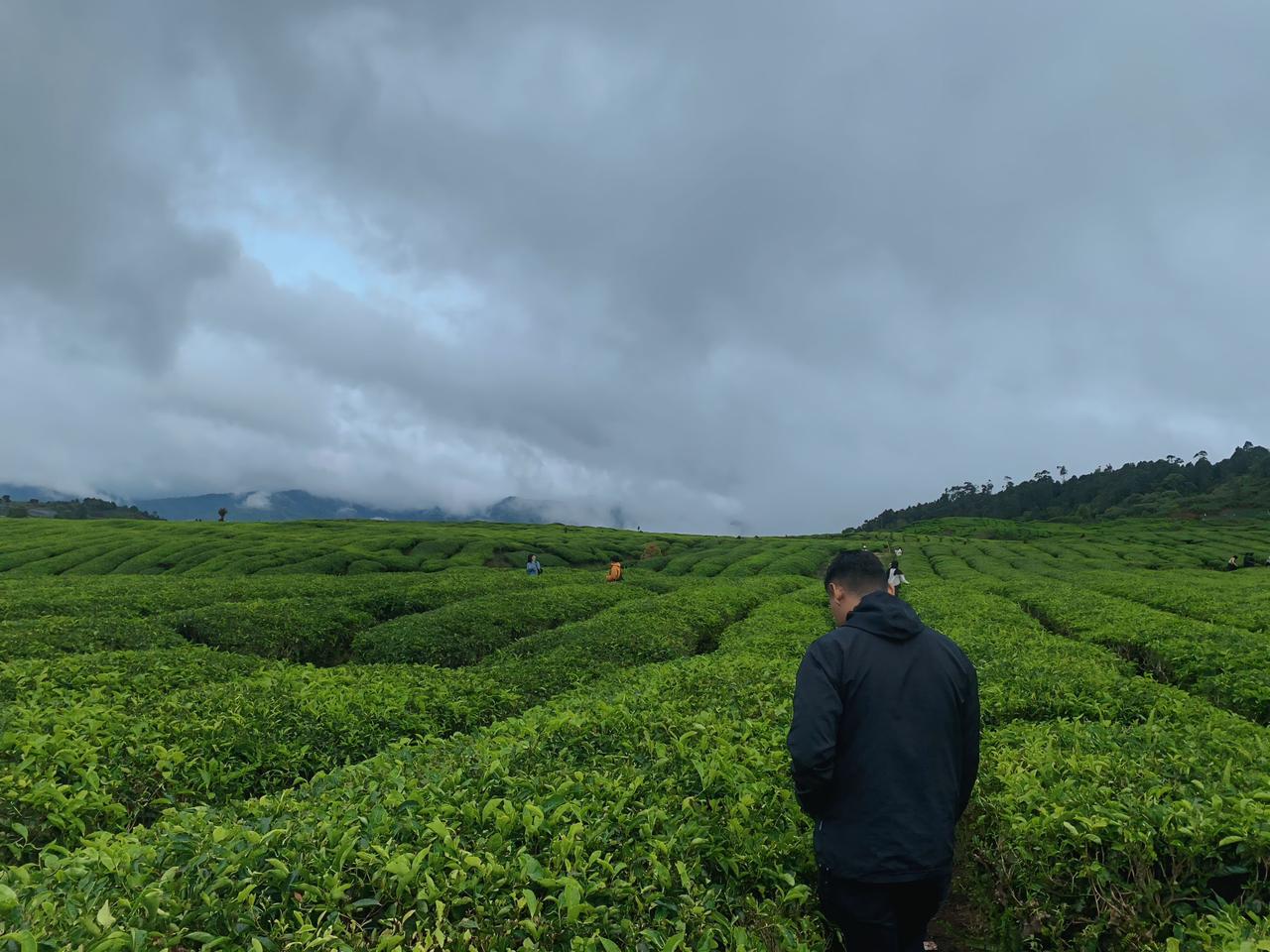 “kabut-turun,-pesona-naik,-alahan-panjang-makin-bikin-wisatawan-‘lupa-pulang’”