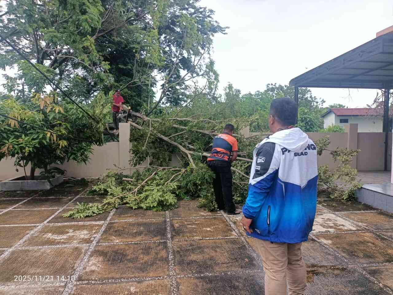 diterjang-hujan-badai,-pohon-timpa-kabel-listrik-di-padang