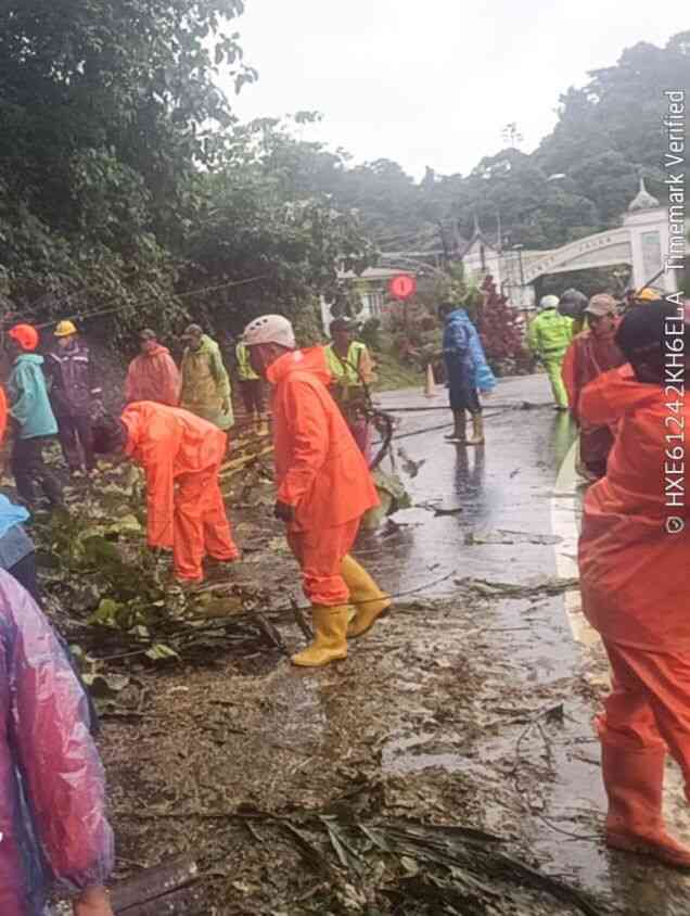 pohon-tumbang-lagi,-arus-padang-–-bukittinggi-ditutup-sementara