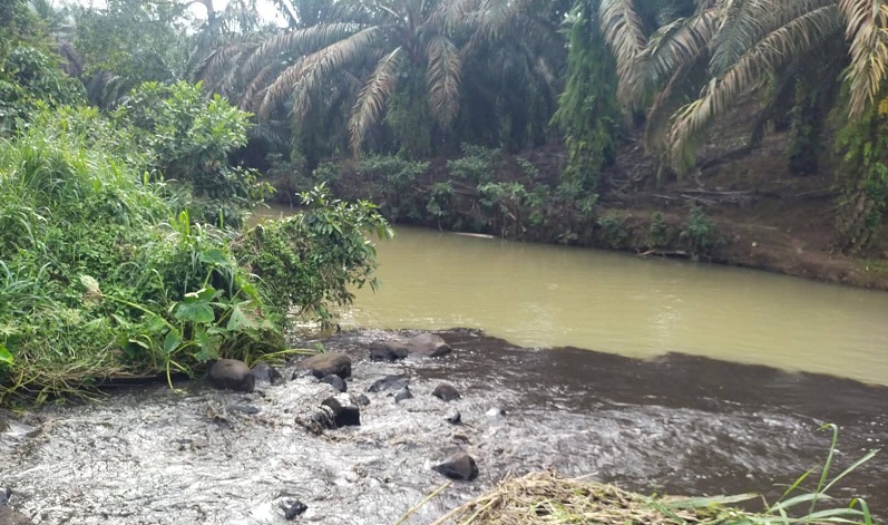 pt-dl-dan-pt-tka-terancam-sanksi-berat-karena-diduga-lalai-kelola-limbah