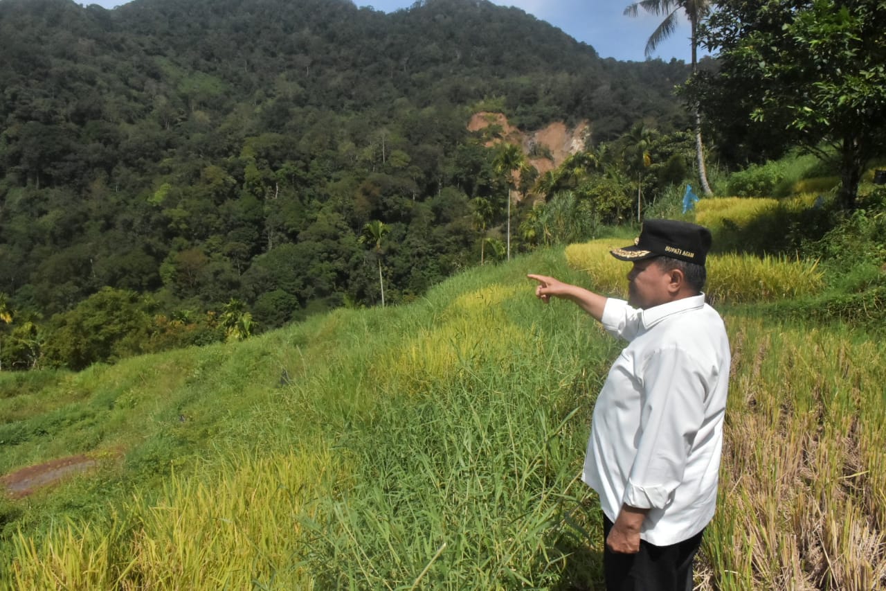 bupati-agam-pantau-lokasi,-mitigasi-risiko-banjir-bandang-matur