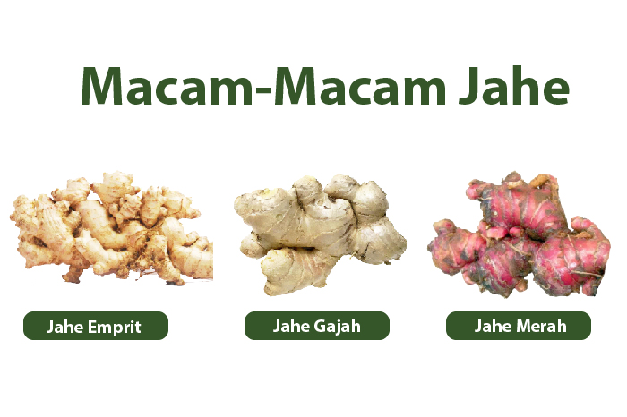 6-bumbu-dapur-yang-bisa-ringankan-flu-dan-batuk