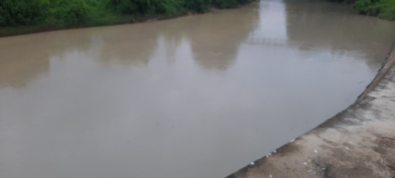 tak-jera,-limbah-pt-dl-diduga-kembali-cemari-ekosistem-sungai