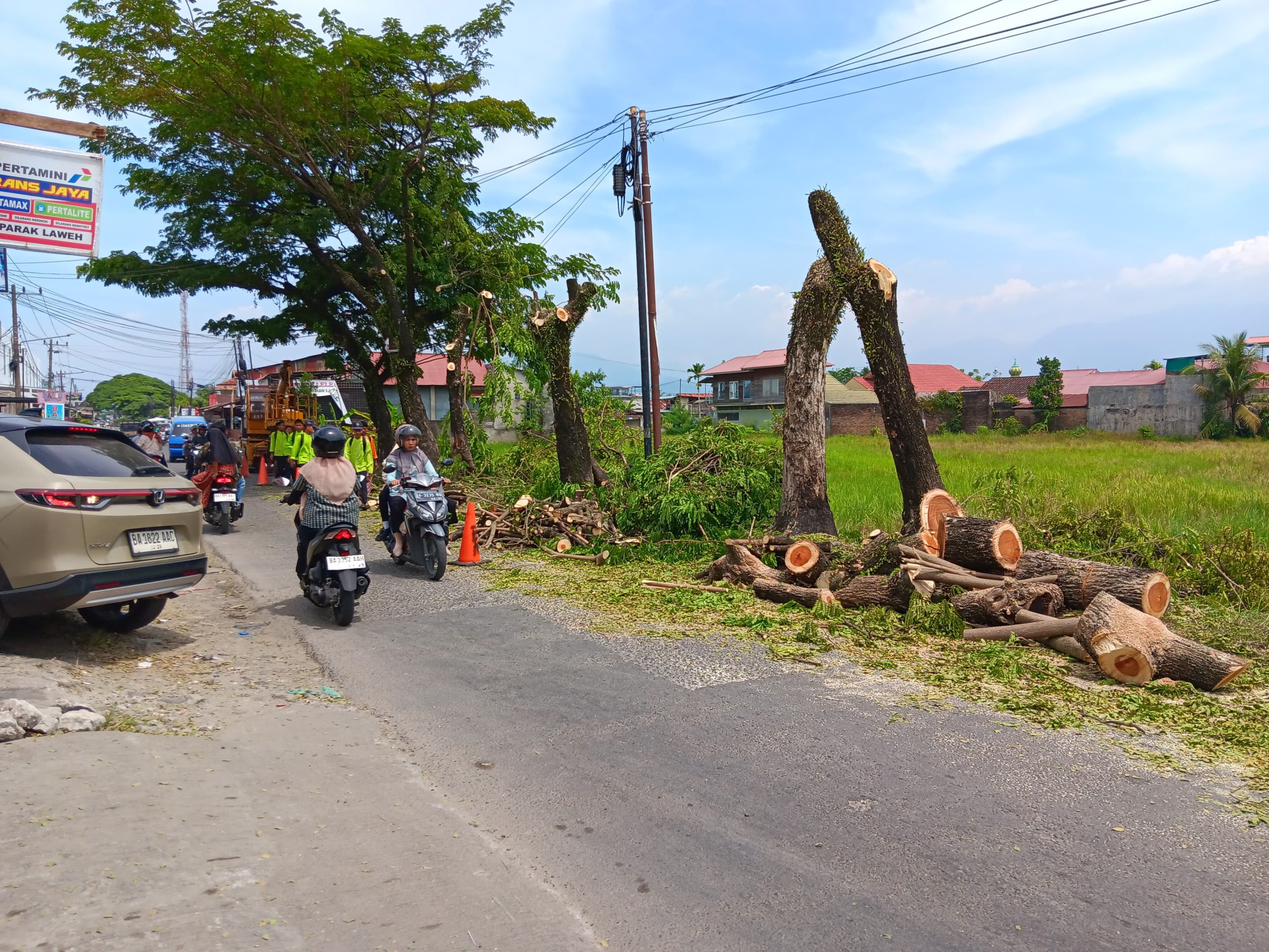 anggota-dprd-padang-meradang,-dlh-tebang-pohon-pelindung-di-jalan-raya-parak-laweh-pulau-aia-nan-xx