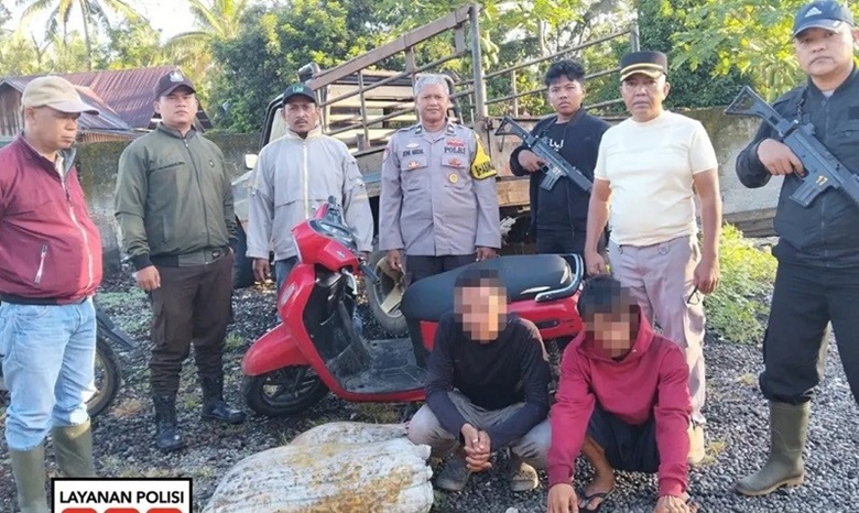 aksi-pencurian-70-kg-sawit-di-pt-incasi-raya-sodetan-berhasil-digagalkan